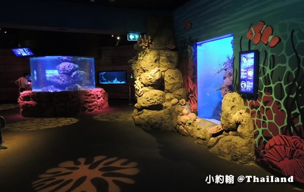 Sea Life Bangkok Ocean World曼谷海洋世界7.jpg