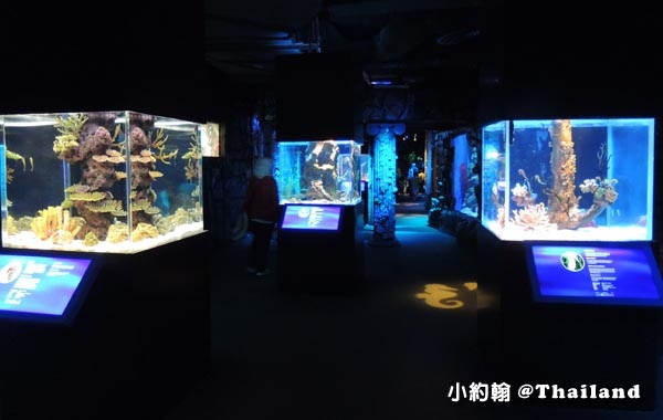 Sea Life Bangkok Ocean World曼谷海洋世界13.jpg