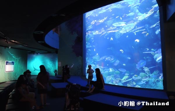 Sea Life Bangkok Ocean World曼谷海洋世界20.jpg