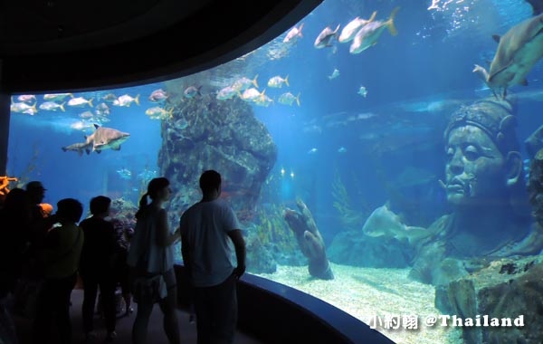 Sea Life Bangkok Ocean World曼谷海洋世界22.jpg