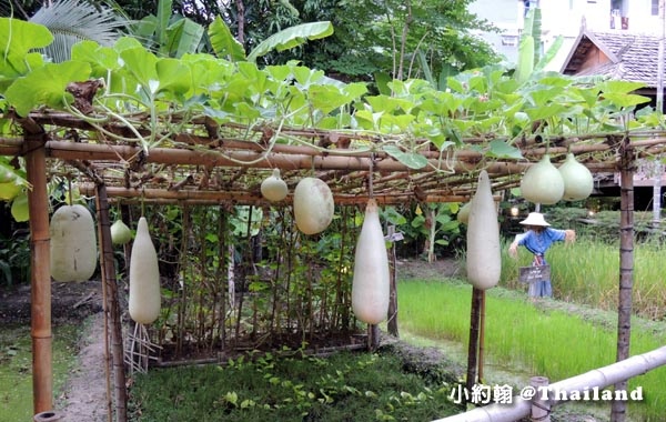 Siam niramit曼谷暹邏劇場泰國村農作物.jpg Siam niramit曼谷暹邏劇場泰國村農作物.jpg