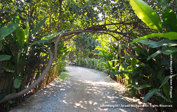 Mooban Talay Resort samed green tree.jpg