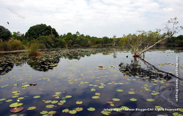 Rayong Wetland sanctuary Samnak Yai2.jpg