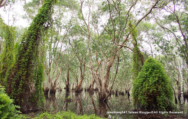 Rayong Wetland sanctuary Samnak Yai9.jpg