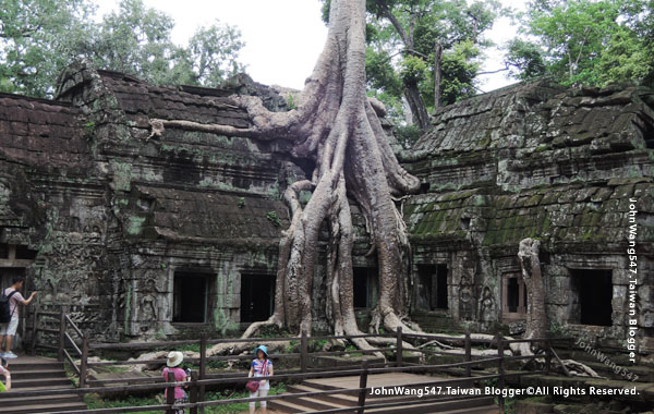 2017年吳哥塔普倫寺Ta Prohm.jpg