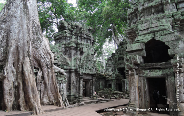 2017年吳哥塔普倫寺Ta Prohm2.jpg