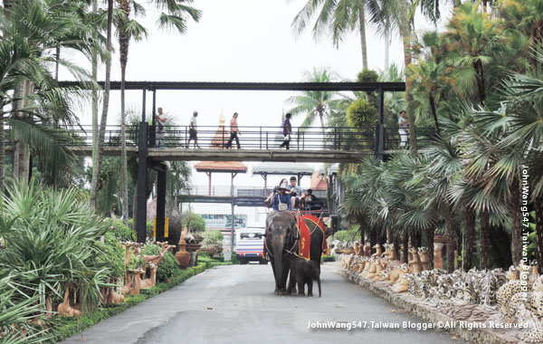 Pattaya Nong Nooch Tropical Garden Elephant ride.jpg