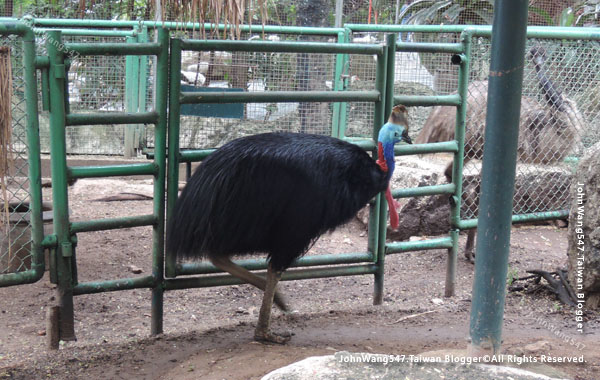 Pattaya Nong Nooch Tropical Garden mini Zoo5.jpg