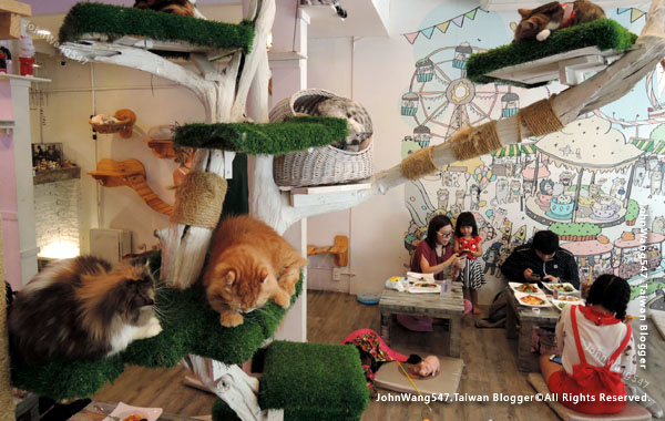 Caturday Cat Cafe Bangkok4.jpg