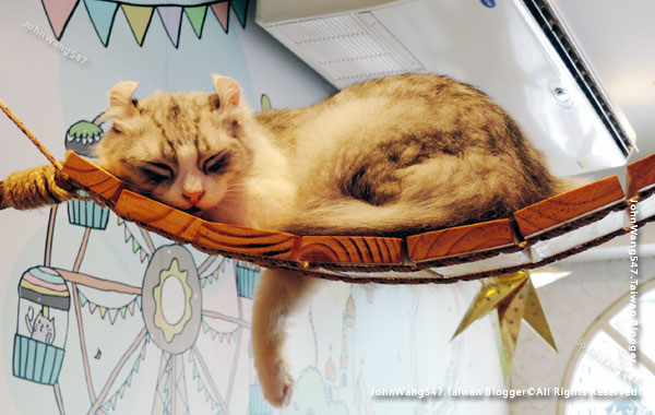 Caturday Cat Cafe Bangkok8.jpg