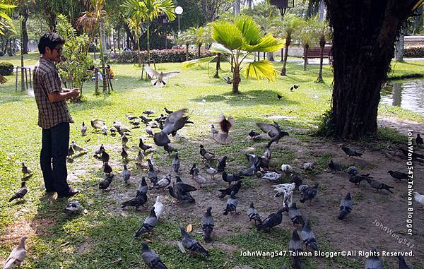 Nong Buak Hard Public Park5.jpg