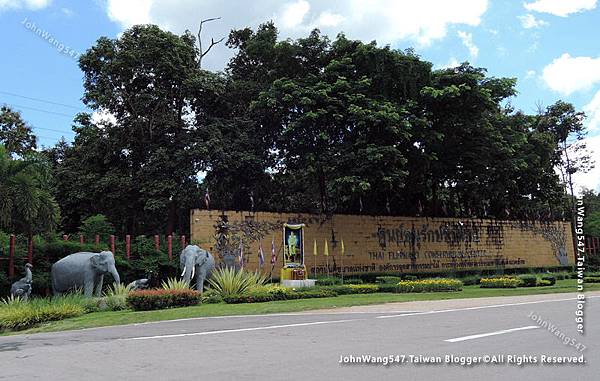 Thai Elephant Conservation Center(TECC)Lampang2.jpg