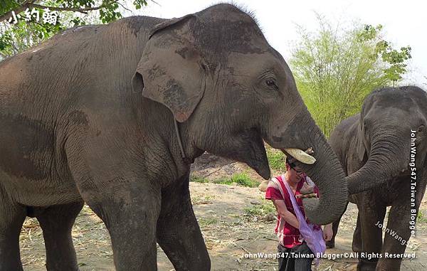清邁Kerchor大象生態公園遊.jpg