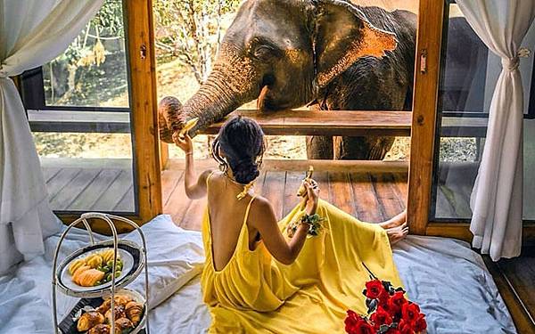 Chai Lai Orchid Elephant Camp Photos5.jpg