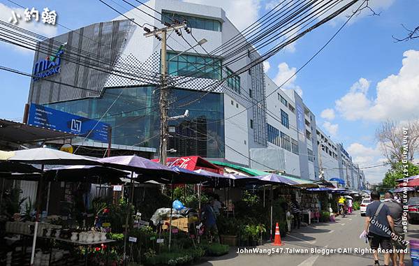 Chatuchak Green Plants Market next Mixt.jpg