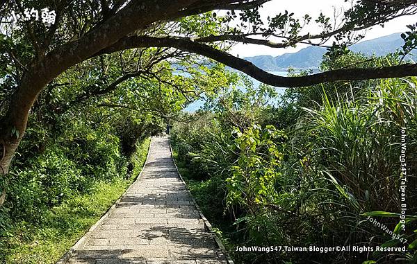 新北市金山區獅頭山公園步道8.jpg