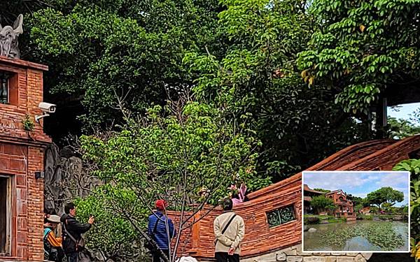 SAMSUNG Galaxy S20實拍照片放大.jpg SAMSUNG Galaxy S20實拍照片放大.jpg