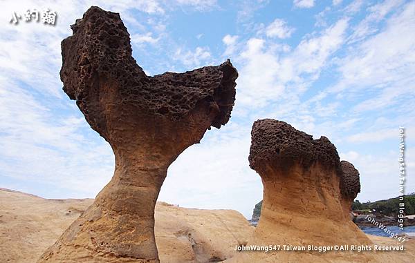 野柳地質公園Yehliu Geopark蕈狀岩1.jpg