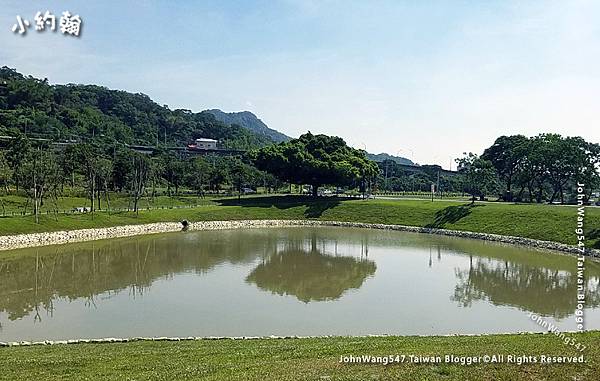 樹林柑園河濱公園-大榕樹沐心池休息區1.jpg