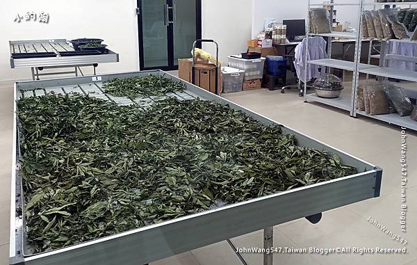 Siam Cannabis Museum芭達雅暹羅大麻博物館7.jpg