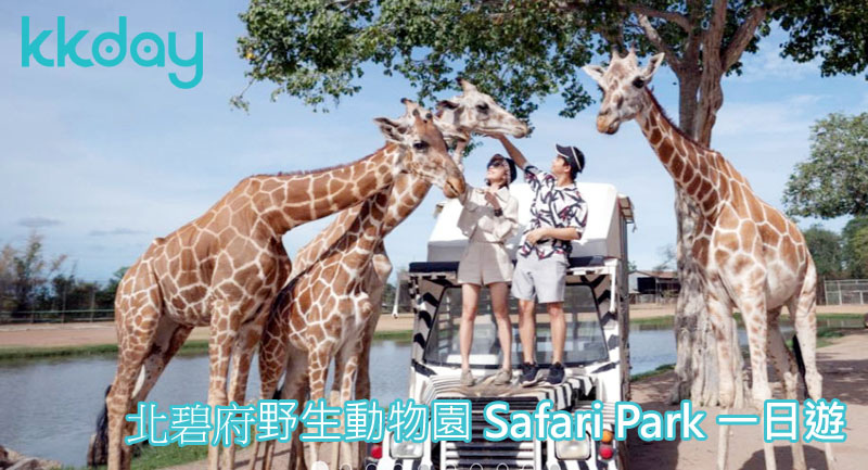KKDAY北碧府野生動物園 Safari Park一日遊.jpg