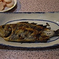 魚