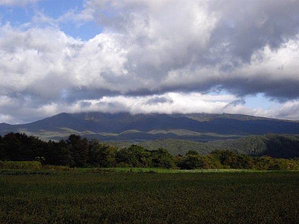 田園景色