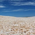 shell beach 貝殼沙灘