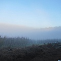 冬天早晨起霧