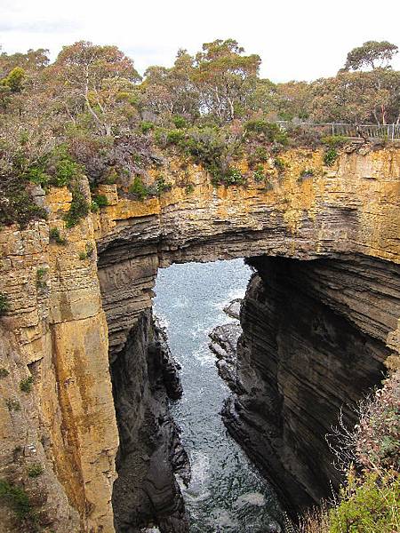 Tasmans arch