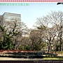 DSCN9997-20120328-111053