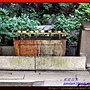 DSCN1560-20120625-101825