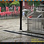 DSCN3418-20110529-080406