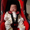 Quinny-DSC08241.JPG