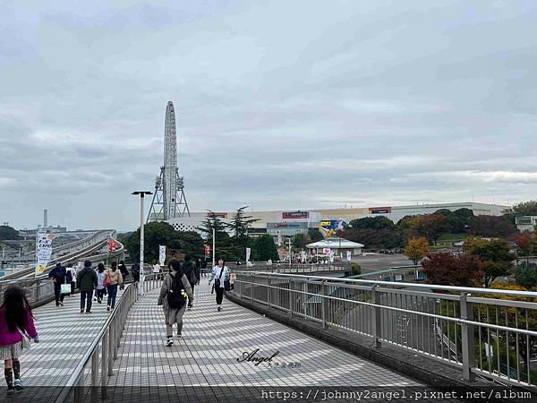 2024 11/14~11/17 日本大阪4天快閃自由行 D