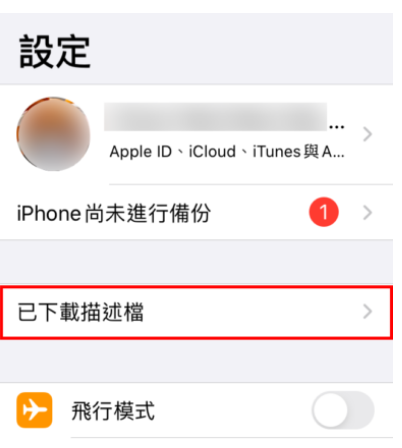 蘋果iOS 14 公測_09.PNG