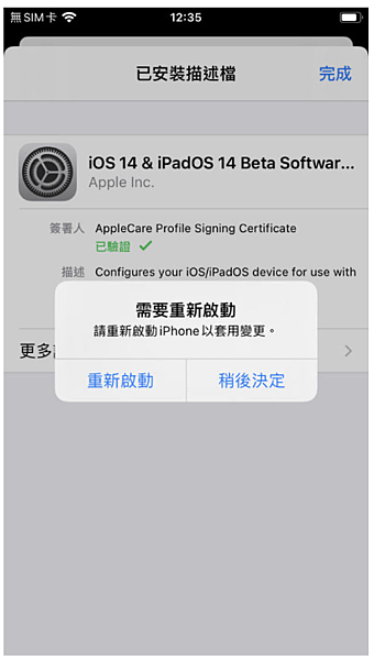 蘋果iOS 14 公測_12.PNG