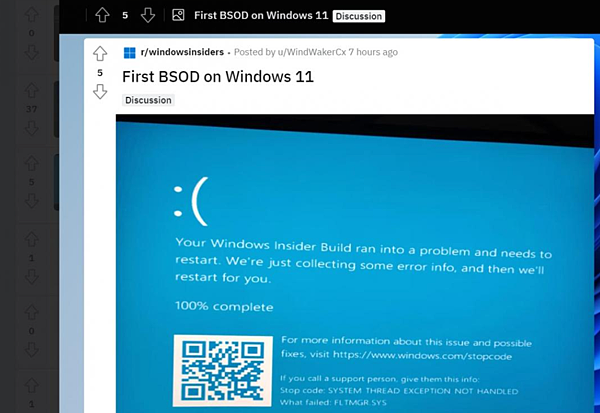 Windows11的BSOD.PNG