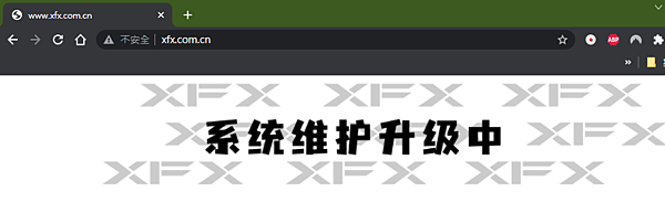 XFX顯卡_3.PNG