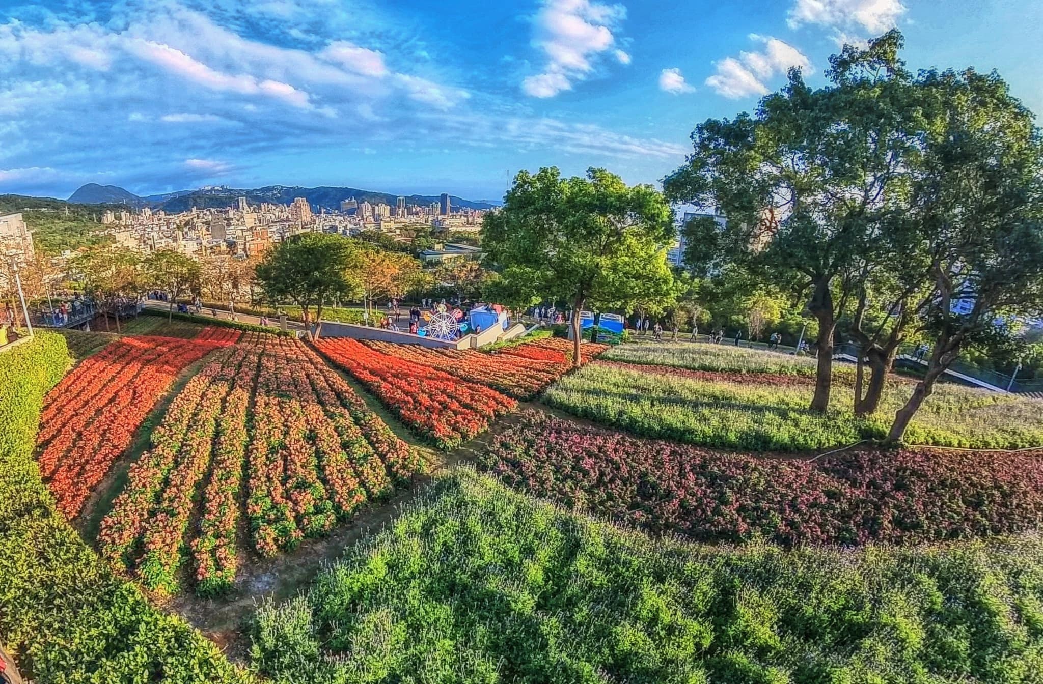 關渡好玩美景 - 台北藝術大學、三層崎公園223、仙渡公共藝