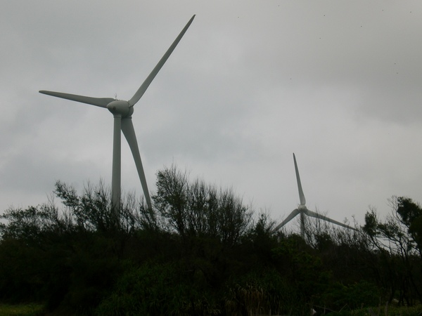 通霄海邊的風車(風力發電)
