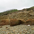 沉積的礫石被抬升出海了