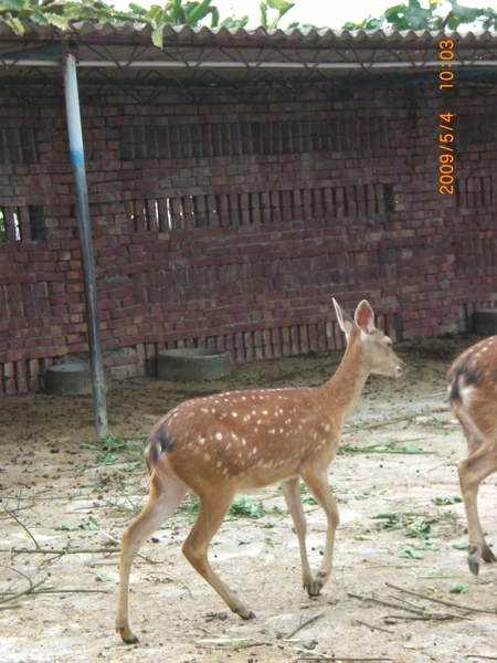 在奔馳!