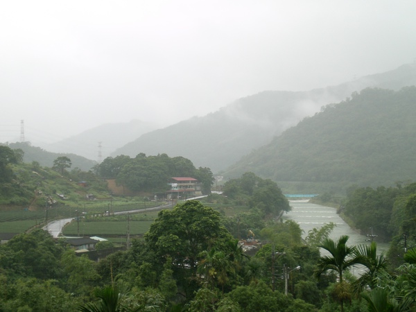 柳暗花明又一村