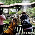 116-20101103南園.JPG