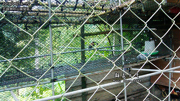 C360_2014-06-15-08-49-35