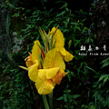 C360_2014-06-15-08-52-16_org