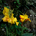 C360_2014-06-15-08-52-40_org