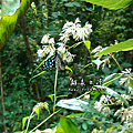 C360_2014-06-15-09-22-05_org