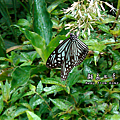 C360_2014-06-15-09-22-40_org